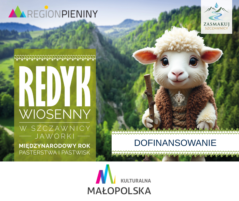 Dofinansowanie projektu „Mecenat Małopolski”